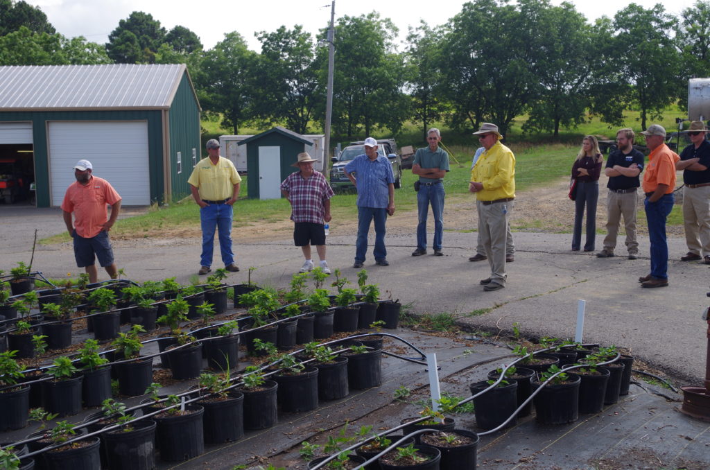 Laboring for Fruit Arkansas “Specialty Crops” UPDATED Taste of