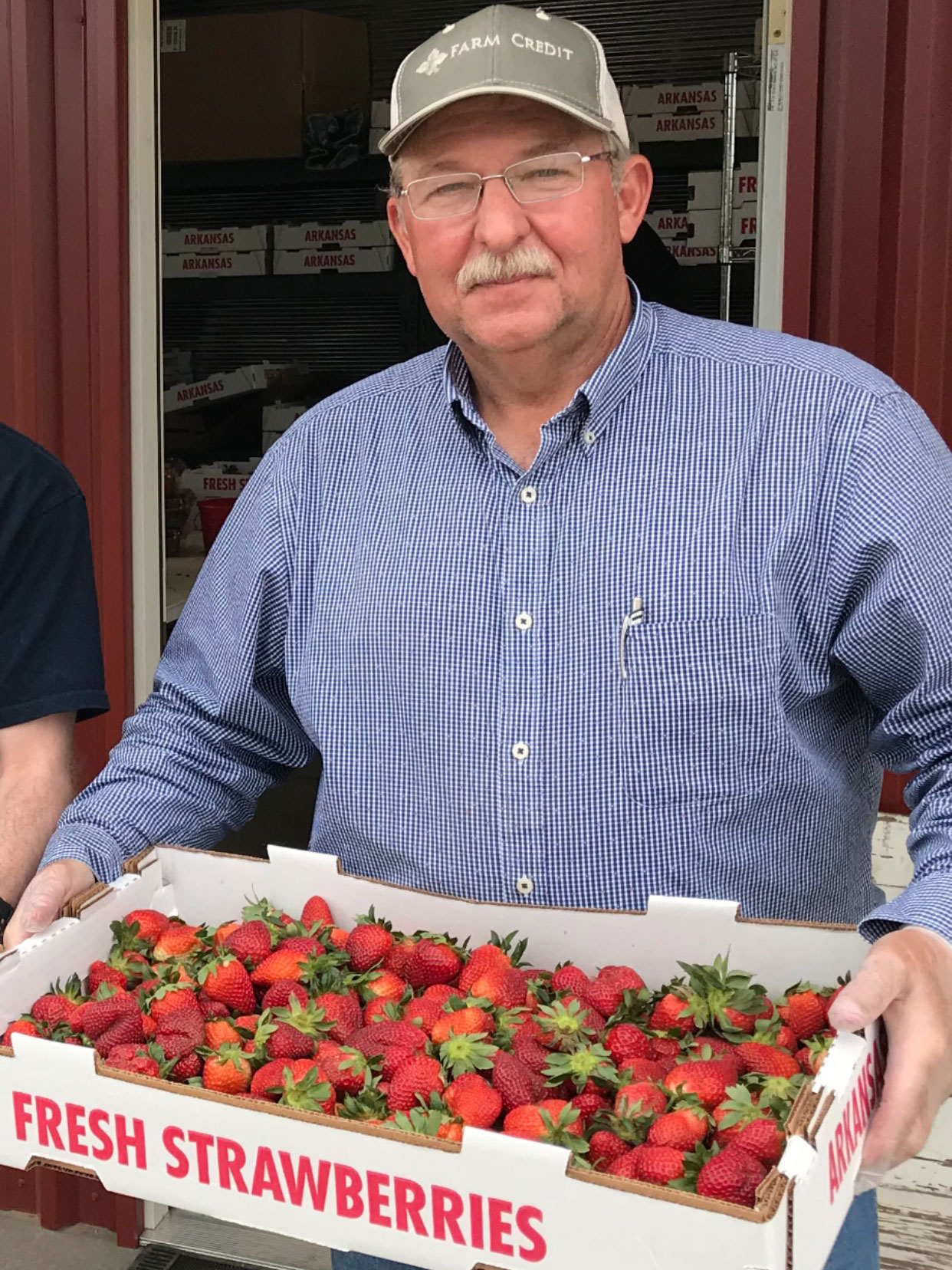 Something Simple for Strawberry Month Taste of Arkansas